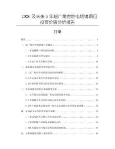 2026及未來5年超廣角宮腔電切鏡項目投資價值分析報告