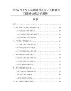 2025及未來5年微處理瓦時／瓦特表項目投資價值分析報告