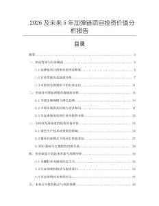 2026及未來(lái)5年加彈鏈項(xiàng)目投資價(jià)值分析報(bào)告