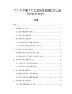 2026及未來5年加加樂燃油搭檔項目投資價值分析報告