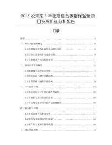 2026及未來5年鋁箔復合橡塑保溫管項目投資價值分析報告