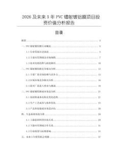 2026及未來5年PVC鐳射鍍鋁膜項目投資價值分析報告