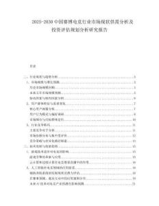 2025-2030中國賽博電競行業市場現狀供需分析及投資評估規劃分析研究報告