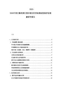 2025-2030中国文藝表演行業市場分析供給需給投資評估規劃研究報告