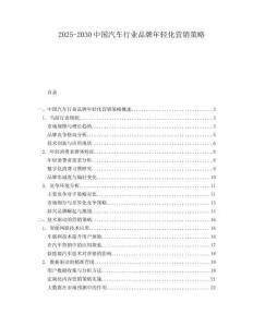 2025-2030中國汽車行業品牌年輕化營銷策略