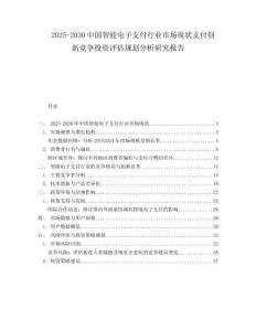2025-2030中國智能電子支付行業市場現狀支付創新競爭投資評估規劃分析研究報告