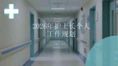 2026年護(hù)士長(zhǎng)個(gè)人工作規(guī)劃