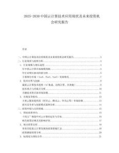 2025-2030中國(guó)云計(jì)算技術(shù)應(yīng)用現(xiàn)狀及未來投資機(jī)會(huì)研究報(bào)告