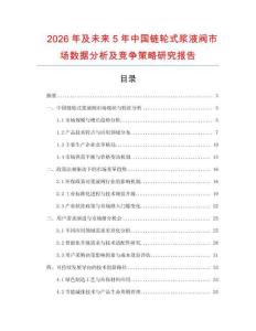 2026年及未來5年中國鏈輪式漿液閥市場數(shù)據(jù)分析及競爭策略研究報告