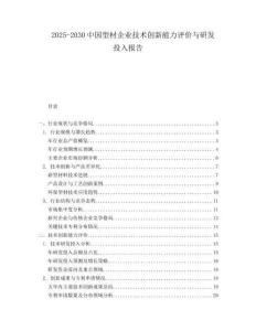 2025-2030中國型材企業技術創新能力評價與研發投入報告