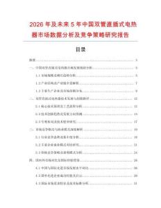 2026年及未來5年中國雙管直插式電熱器市場數據分析及競爭策略研究報告