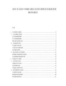 2025至2030中國耐力板行業項目調研及市場前景預測評估報告
