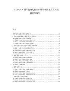 2025-2030國際航空運輸業市場動蕩因素及應對策略研究報告