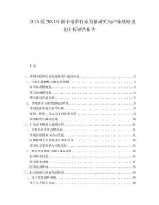 2025至2030中國卡恰薩行業發展研究與產業戰略規劃分析評估報告