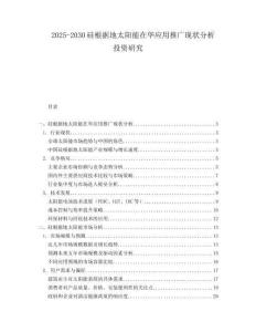 2025-2030硅根據地太陽能在華應用推廣現狀分析投資研究