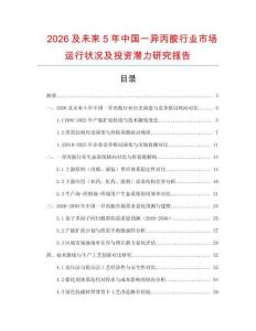 2026及未來5年中國一異丙胺行業市場運行狀況及投資潛力研究報告
