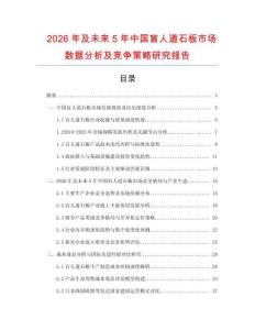 2026年及未來5年中國盲人道石板市場數據分析及競爭策略研究報告