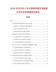 2026年及未來5年中國熊抱筐市場數據分析及競爭策略研究報告