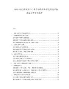 2025-2030能源节约行业市场供需分析及投资评估规划分析研究报告