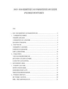 2025-2030能源管道行业市场现状供需分析及投资评估规划分析研究报告