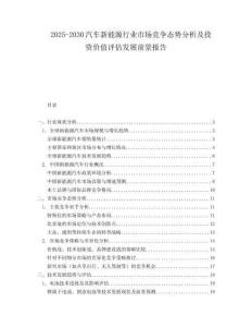 2025-2030汽车新能源行业市场竞争态势分析及投资价值评估发展前景报告