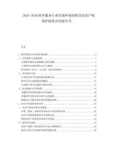 2025-2030軟件服務(wù)行業(yè)市場環(huán)境剖析及知識產(chǎn)權(quán)保護投資評估報告書