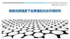 極端光照強(qiáng)度下蟲(chóng)黃藻的光合作用研究