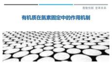 有機質在氮素固定中的作用機制