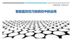 智能監控在污染防控中的運用