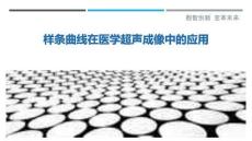 樣條曲線在醫(yī)學(xué)超聲成像中的應(yīng)用