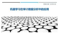 機(jī)器學(xué)習(xí)在審計(jì)數(shù)據(jù)分析中的應(yīng)用