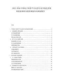 2025-2030中国电子商务平台运营行业市场发育现状需求调研及投资规划布局规划报告