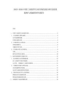 2025-2030中国工业软件行业市场发展分析及前景趋势与投融资研究报告