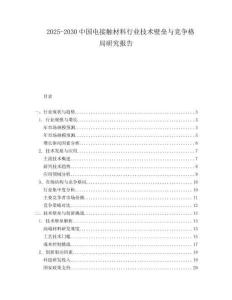 2025-2030中國電接觸材料行業技術壁壘與競爭格局研究報告
