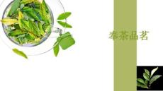 《2025茶藝》課件——奉茶品茗