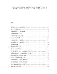 電子支付行業(yè)市場深度調(diào)研與前景趨勢分析報(bào)告