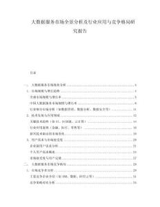 大數(shù)據(jù)服務(wù)市場全景分析及行業(yè)應(yīng)用與競爭格局研究報告