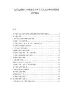電子支付行業(yè)市場深度調(diào)研及發(fā)展趨勢和前景預(yù)測研究報(bào)告