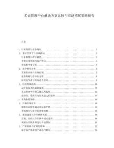 多云管理平臺解決方案比較與市場拓展策略報告