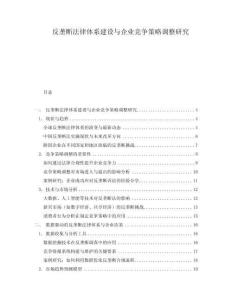 反壟斷法律體系建設與企業競爭策略調整研究
