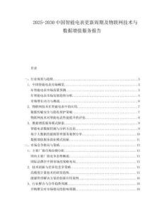 2025-2030中國智能電表更新周期及物聯(lián)網(wǎng)技術與數(shù)據(jù)增值服務報告