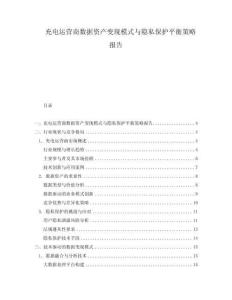 充電運營商數據資產變現模式與隱私保護平衡策略報告