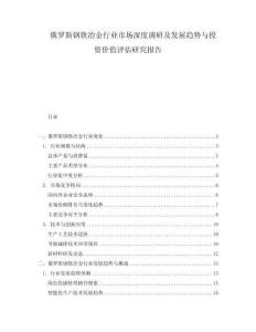俄羅斯鋼鐵冶金行業市場深度調研及發展趨勢與投資價值評估研究報告