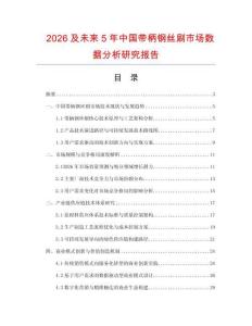 2026及未來5年中國帶柄鋼絲刷市場數據分析研究報告