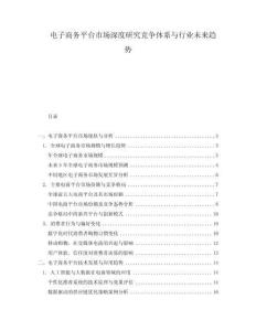 電子商務平臺市場深度研究競爭體系與行業未來趨勢