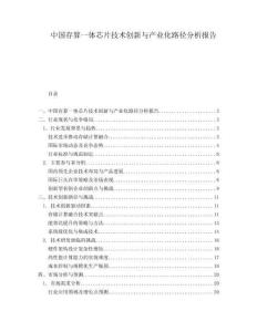 中國存算一體芯片技術創新與產業化路徑分析報告