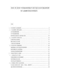 2025至2030中國油潤滑旋片真空泵行業市場深度研究與戰略咨詢分析報告