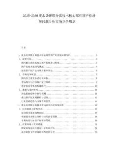 2025-2030廢水處理膜分離技術(shù)核心部件國產(chǎn)化進(jìn)展問題分析市場競爭規(guī)劃