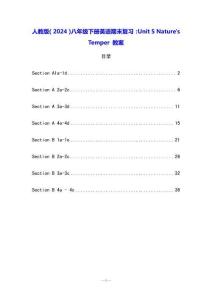 人教版（2024）八年級(jí)下冊(cè)英語(yǔ)期末復(fù)習(xí)：Unit 5 Nature's Temper 教案