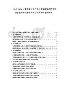 2025-2030甘肅省新材料產業技術革新現狀研究市場容量分析競爭格局特點投資評估布局規劃